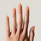 Peach Sorbet